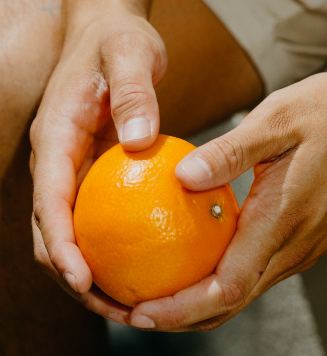 Hands holding an orange.